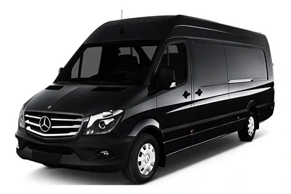 A black mercedes van is shown on a white background