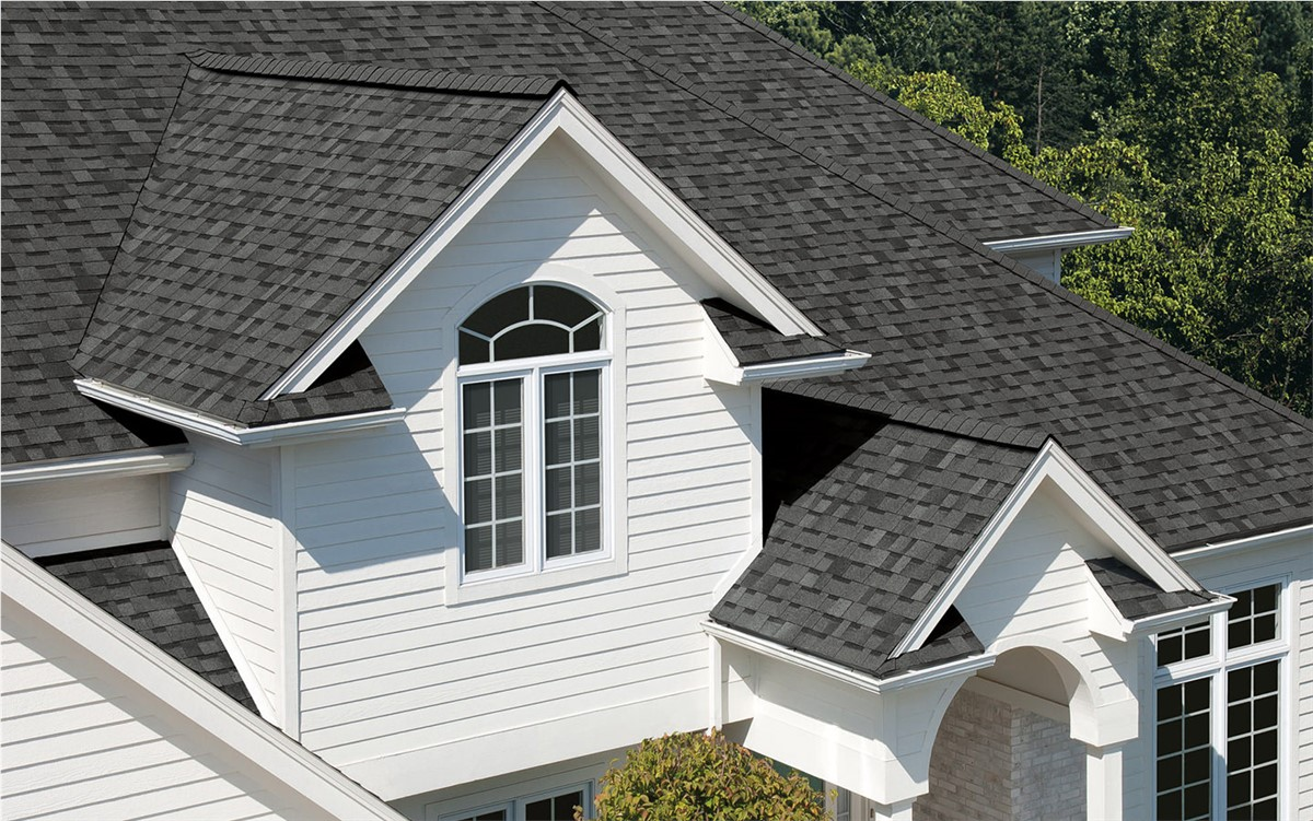 A house with dark, textured shingles on a complex roof, white vinyl siding, and white-trimmed arched windows.