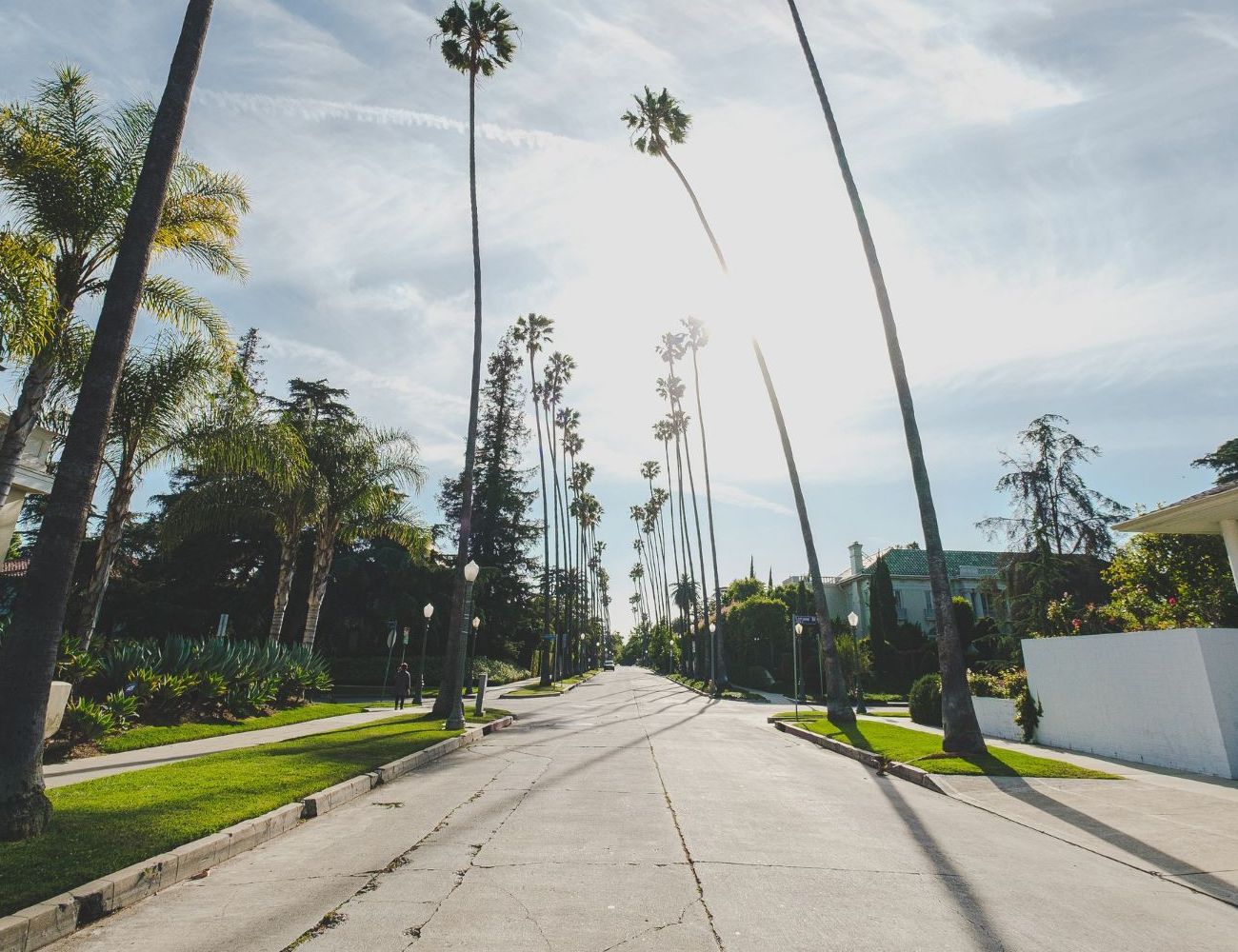 A street with palm trees on both sides of it