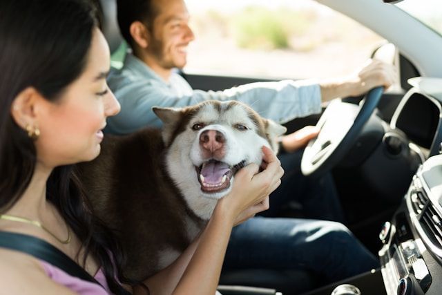 A woman is petting a dog in a car while a man drives.