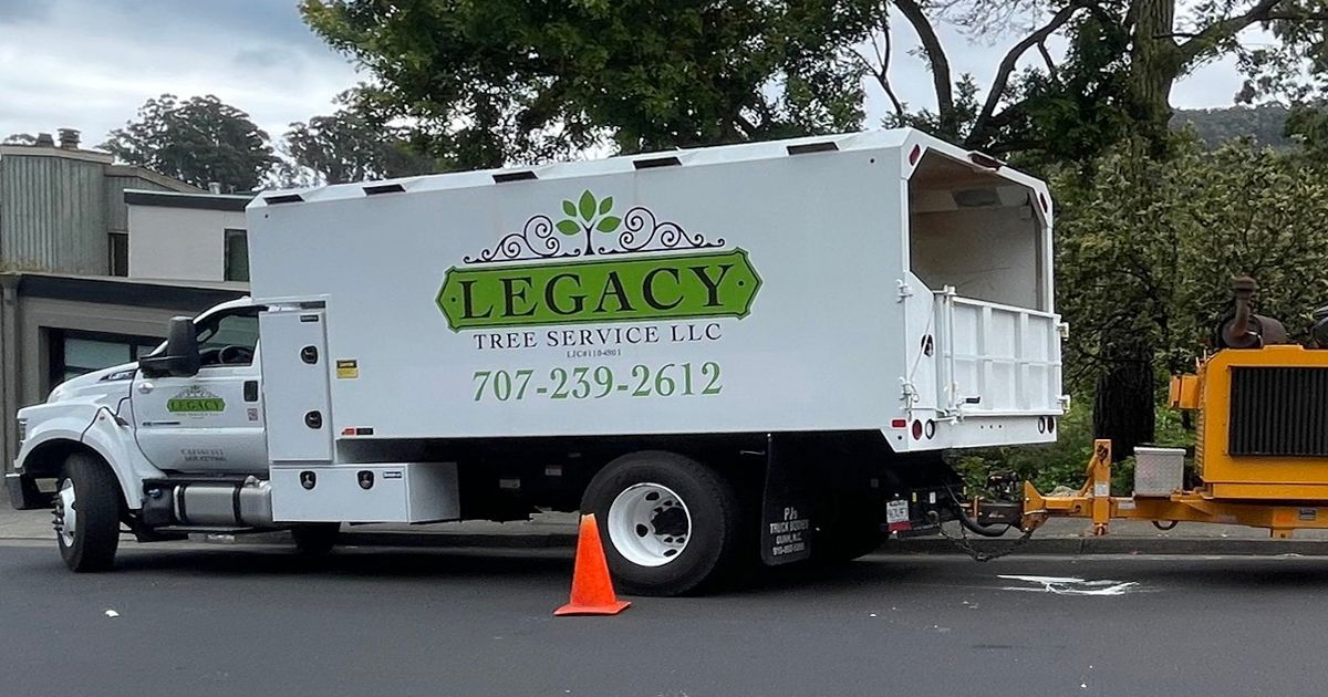 Legacy Tree Service Santa Rosa, CA