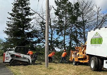 a group of men are working on a tree in front of a legacy truck .