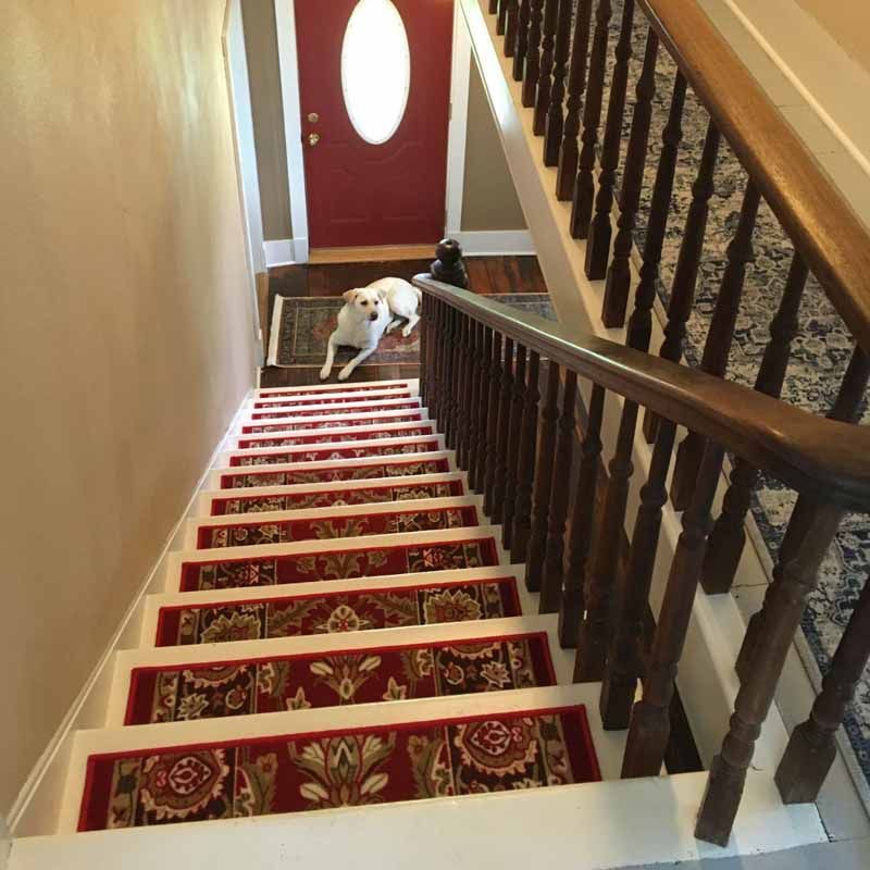 A white dog is walking down a set of stairs