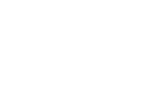 Newport Palms Logo