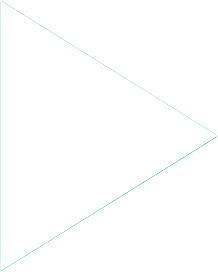Slider Next Arrow