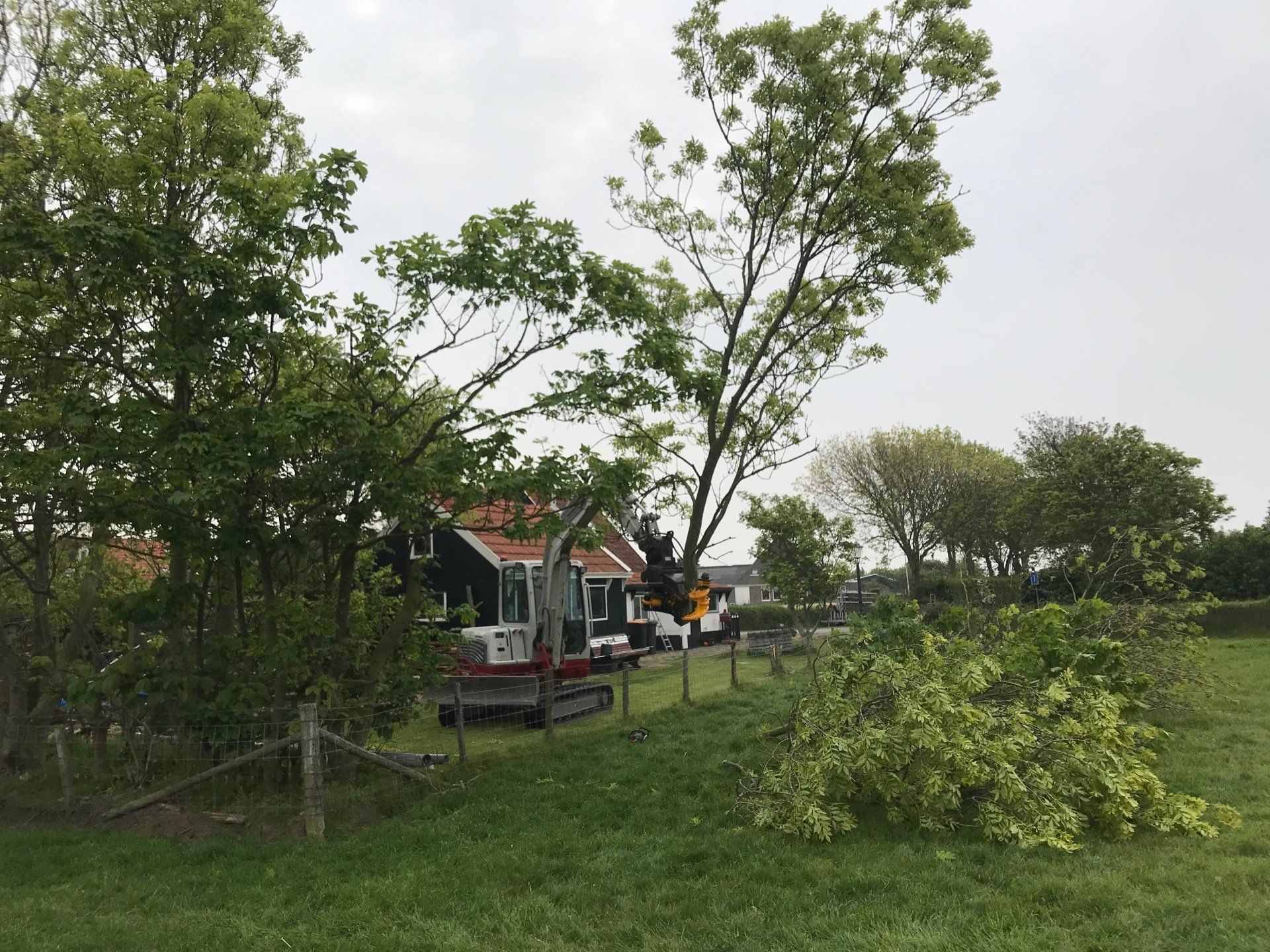 bomen knippen tot 25cm Texel