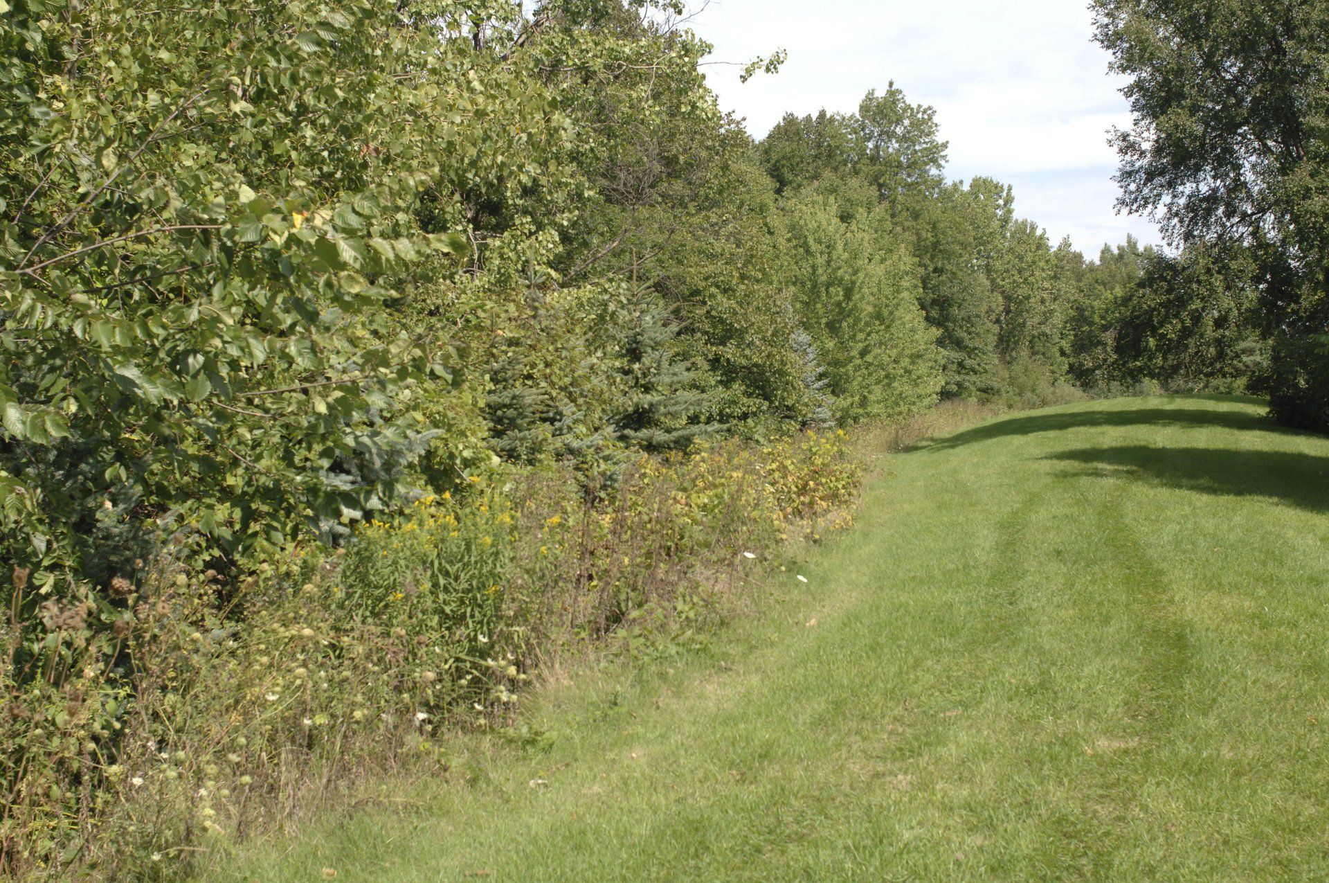 Ashton Woods Grand Rapids Area Apartments for Rent Kentwood, MI