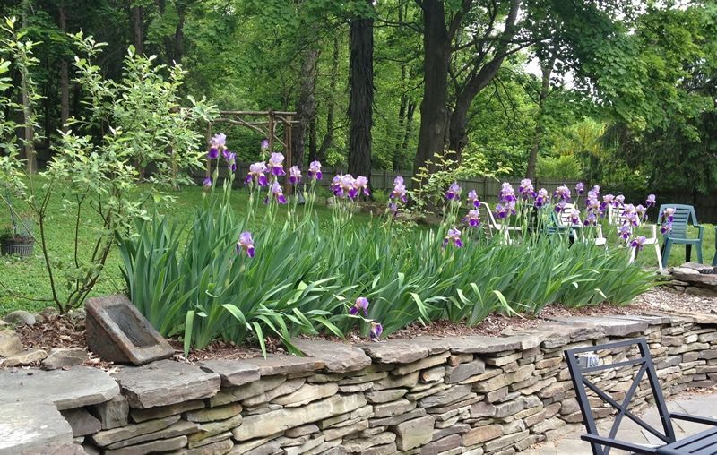 A stone wall with purple flowers growing on it in a garden.