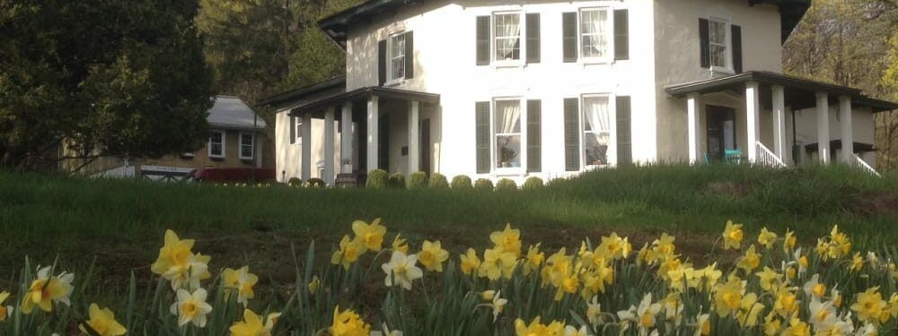 A white house is surrounded by a field of yellow flowers