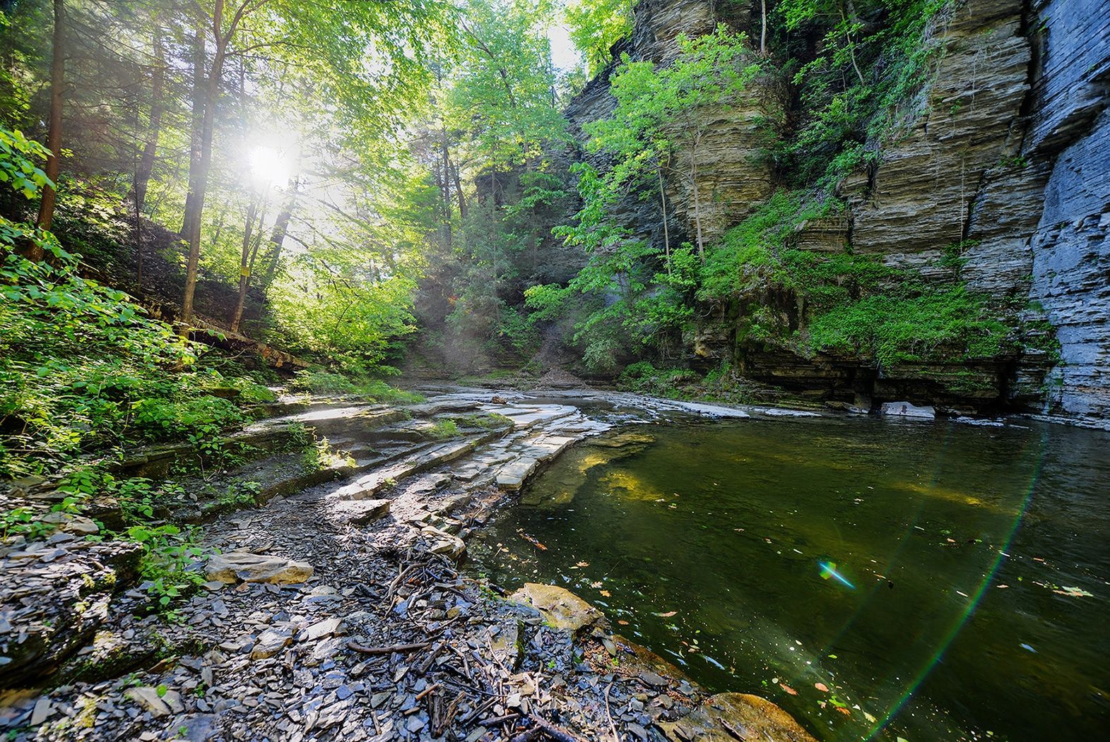 The sun is shining through the trees on a river in the woods.