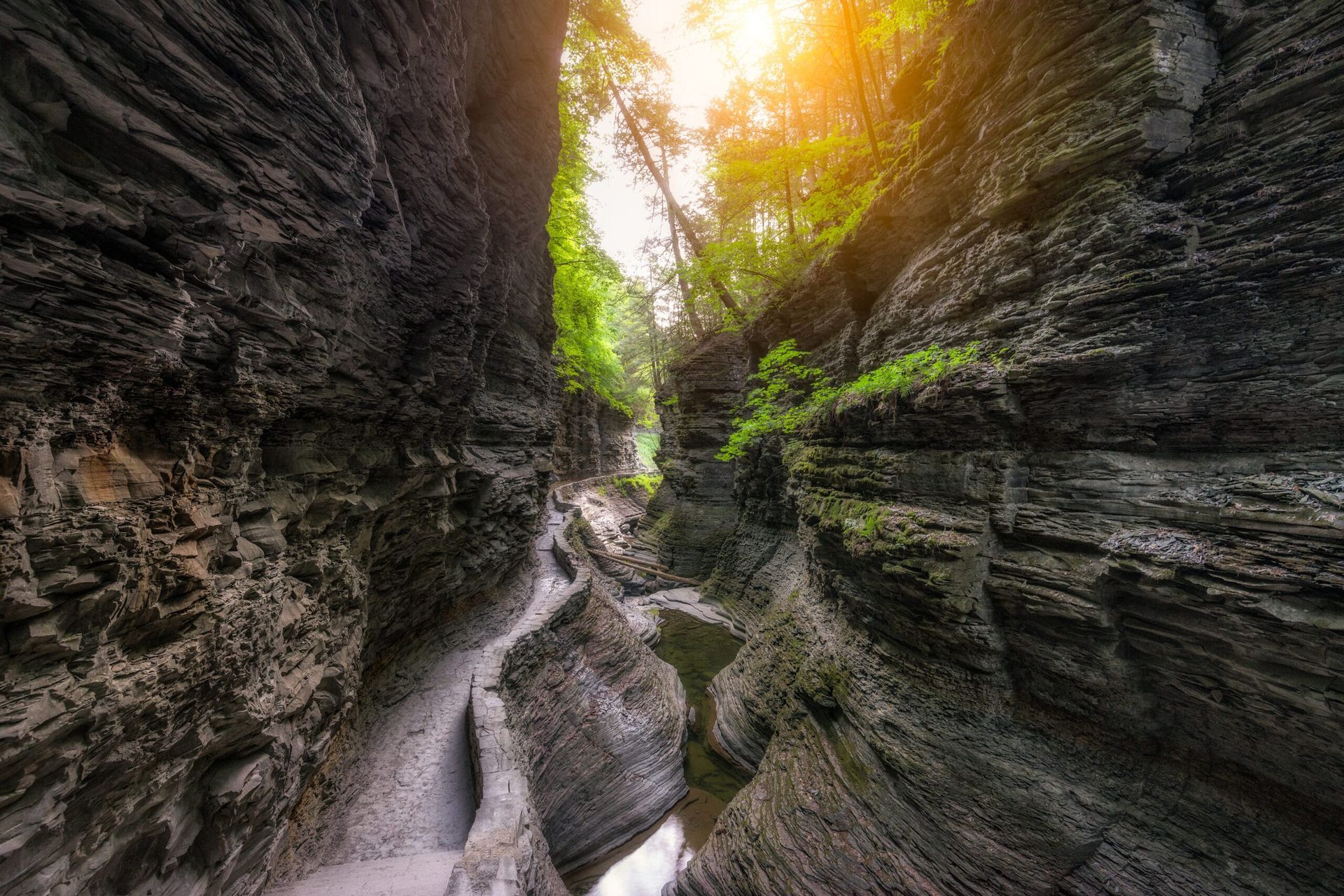 The sun is shining through the trees in the canyon.