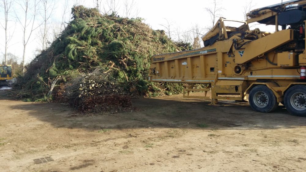 Manutenzione del verde