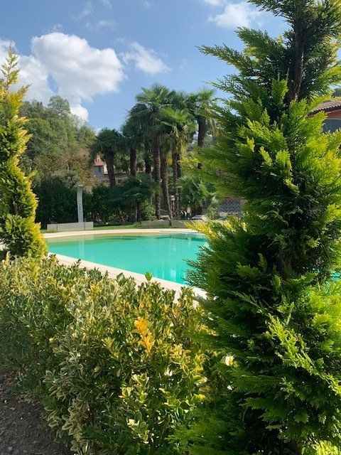 Allestimento giardino con piscina