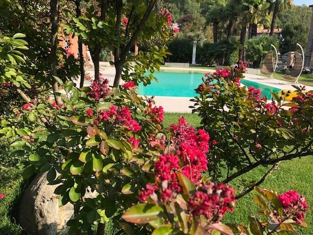 Giardino con piscina