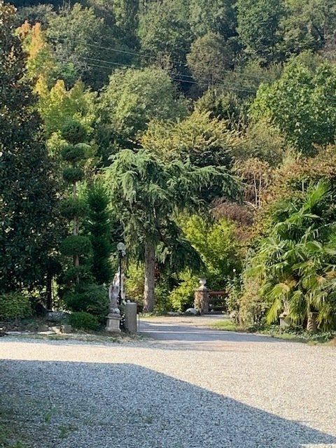 Progettazione area verde