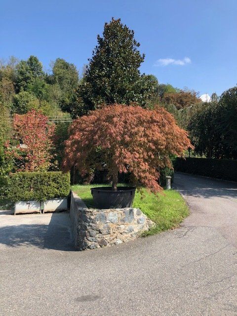 Progettazione giardino