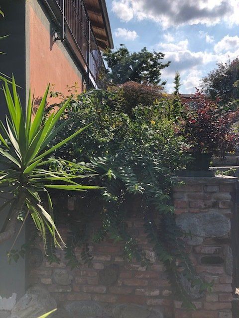 Area verde condominio