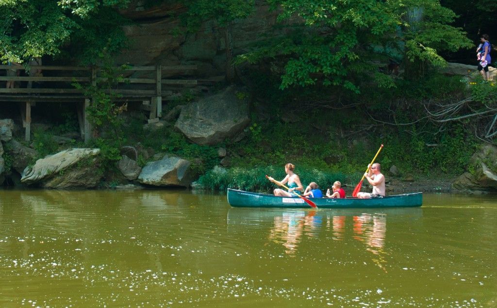 People canoeing on a green river beside a wooded bank, with rocks and a reflection in the water.