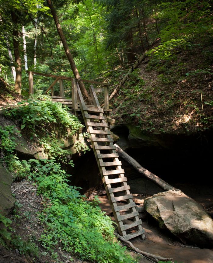 Wooden stairs and railings descending into a dark cave entrance in a lush forest.