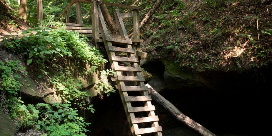 Wooden ladder leading into a dark cave entrance in a wooded hillside
