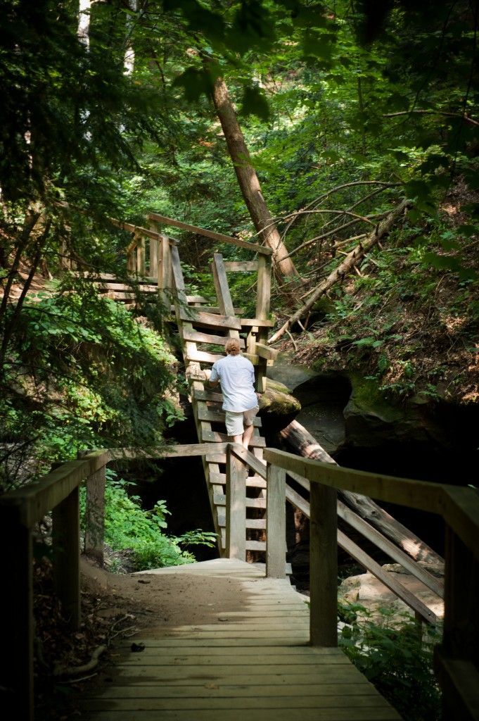 Wooden boardwalk through lush forest with people crossing a rope bridge over a rocky stream