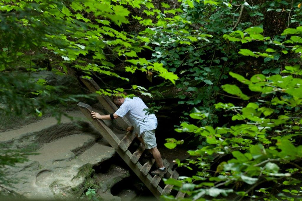 Person climbing a wooden ladder beside a rocky stream in a lush green forest