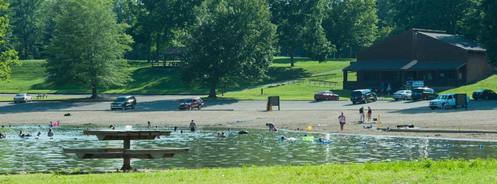 People relaxing near a lake with ducks, green trees, and a small pavilion in the background.