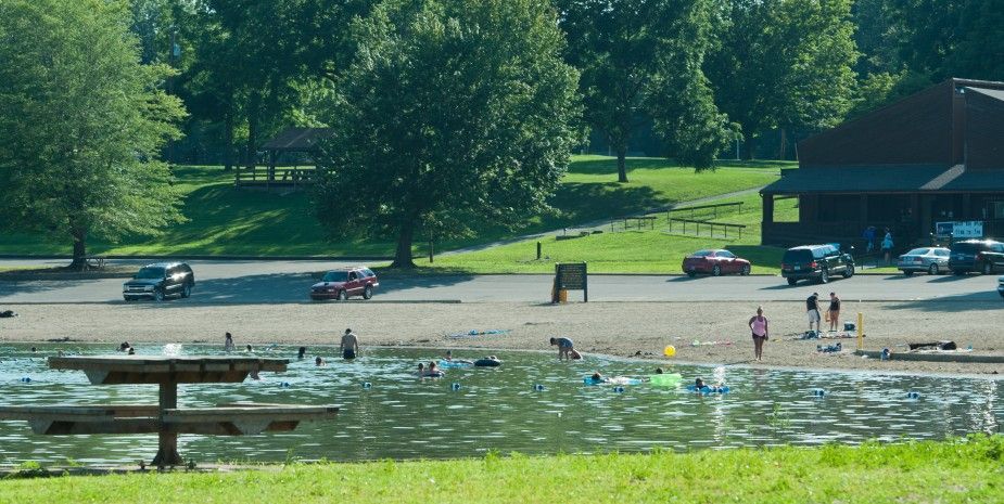 People swimming in a lake with a sandy shore, trees, and parked vehicles in the background