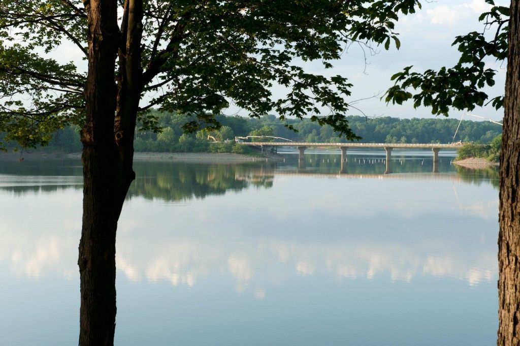 Lake with a tree in the foreground and a bridge in the distance under a cloudy sky