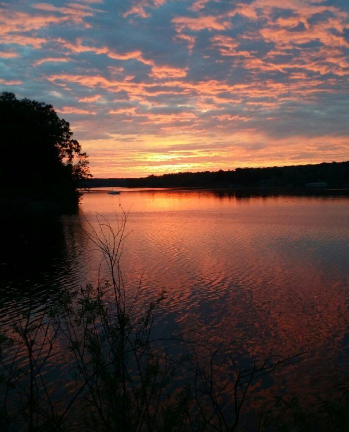 Sunset over a calm lake with pink clouds and dark silhouetted trees along the shore