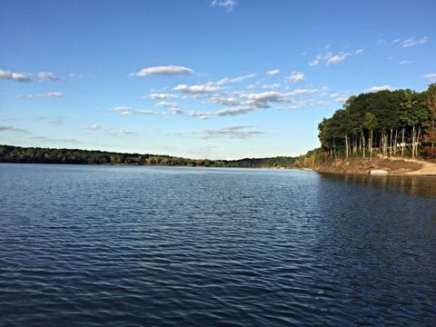 Calm lake under a blue sky with scattered clouds, bordered by trees along the shore
