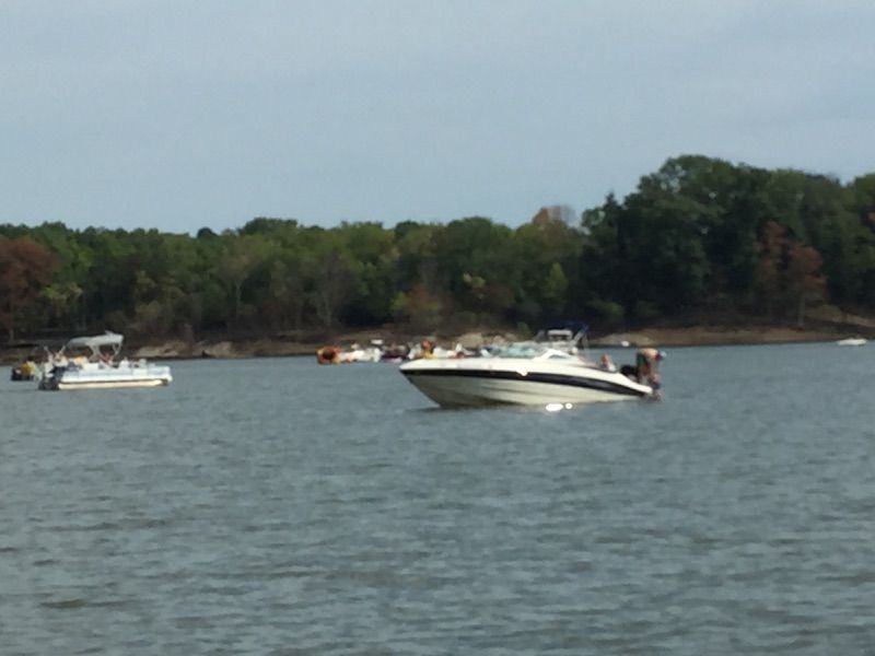 Boats anchored on a calm lake near a wooded shoreline under a clear sky