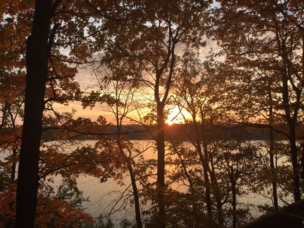 Sunset over a lake through silhouetted trees, with orange sky reflecting on the water.