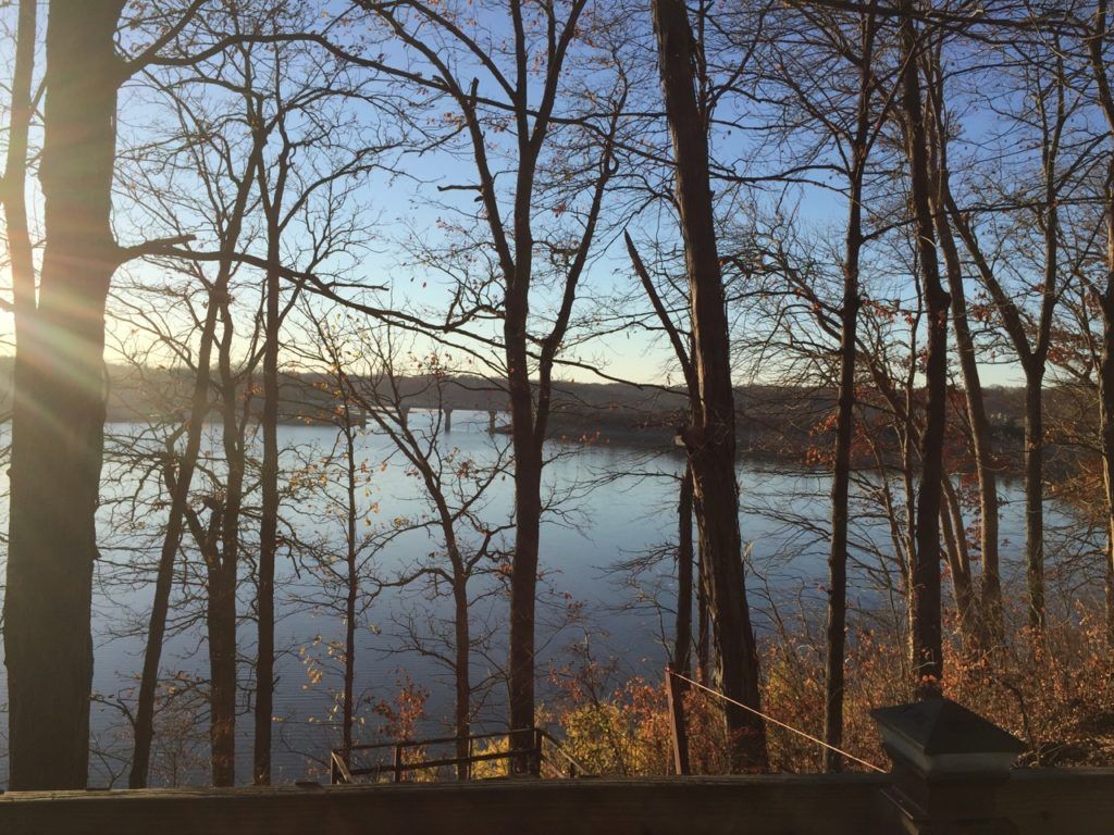Bare trees framing a calm lake at sunset, with warm light reflecting on the water