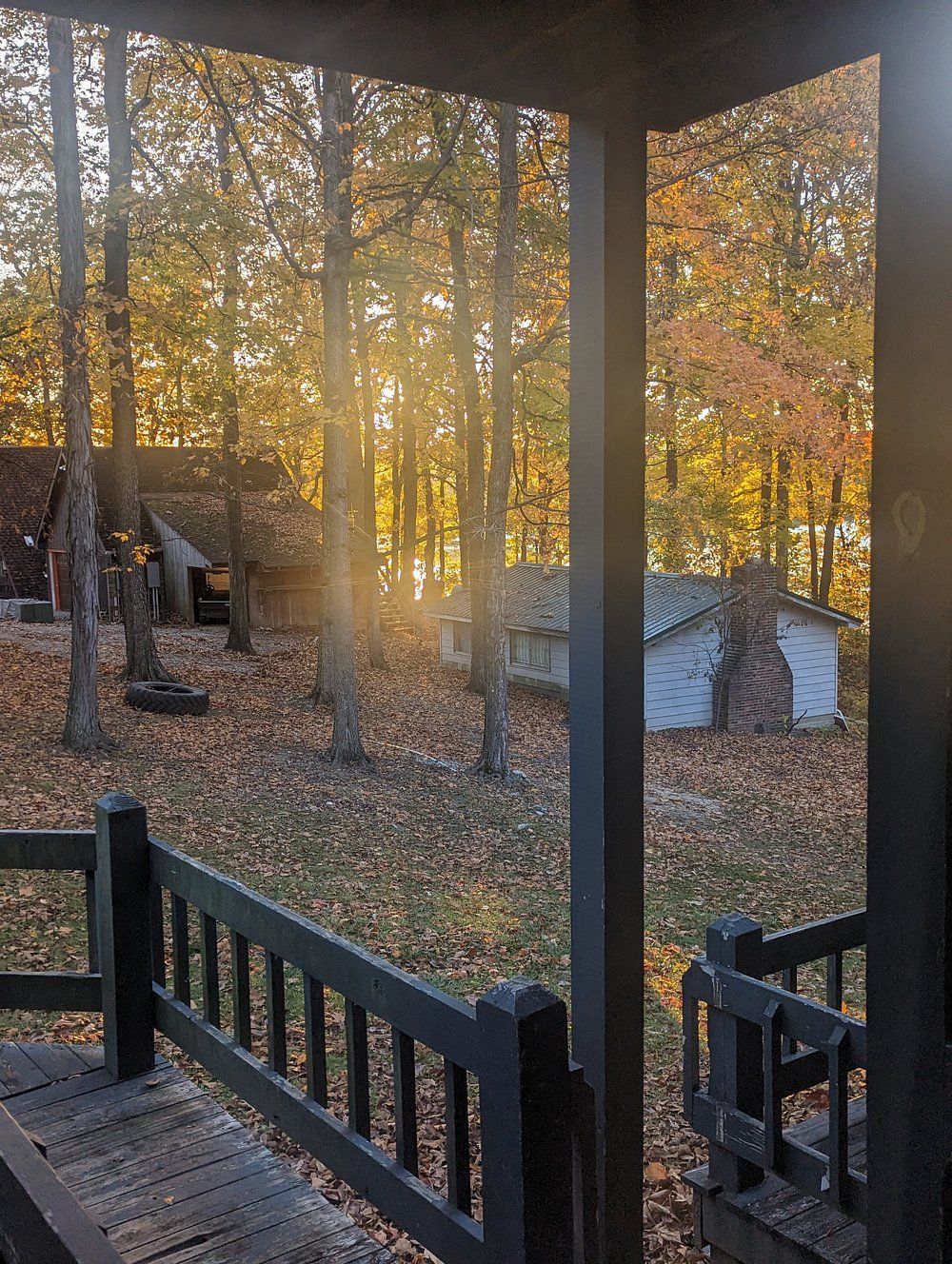 Wooded backyard at sunset, with autumn leaves, porch railing, and a small shed