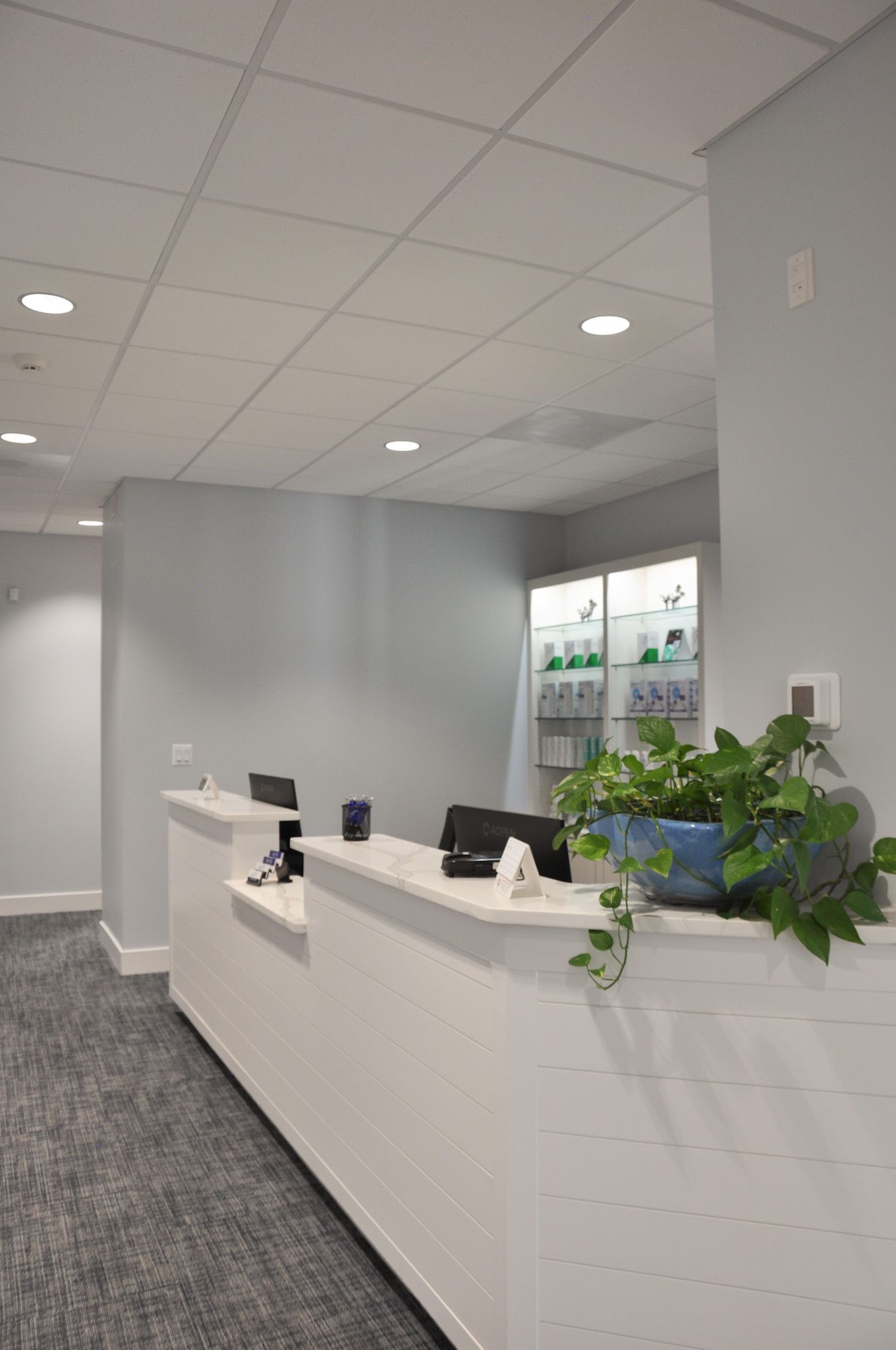 Reception area with white desk, potted plant, and display cabinet; gray walls and ceiling.