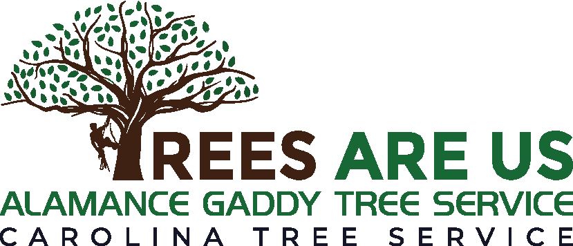 tree service oxford al