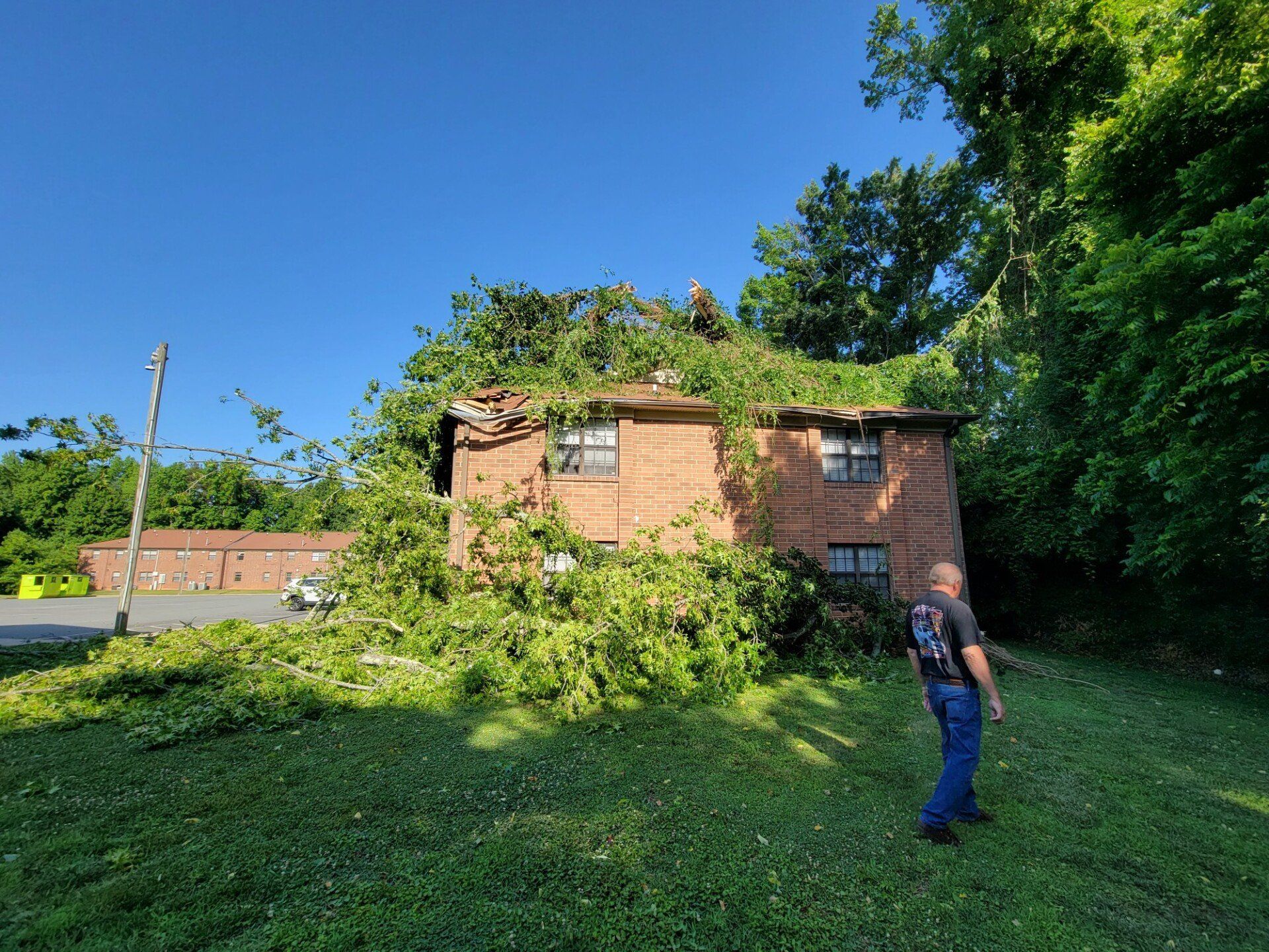 Tree Service Burlington, NC Trees Are Us