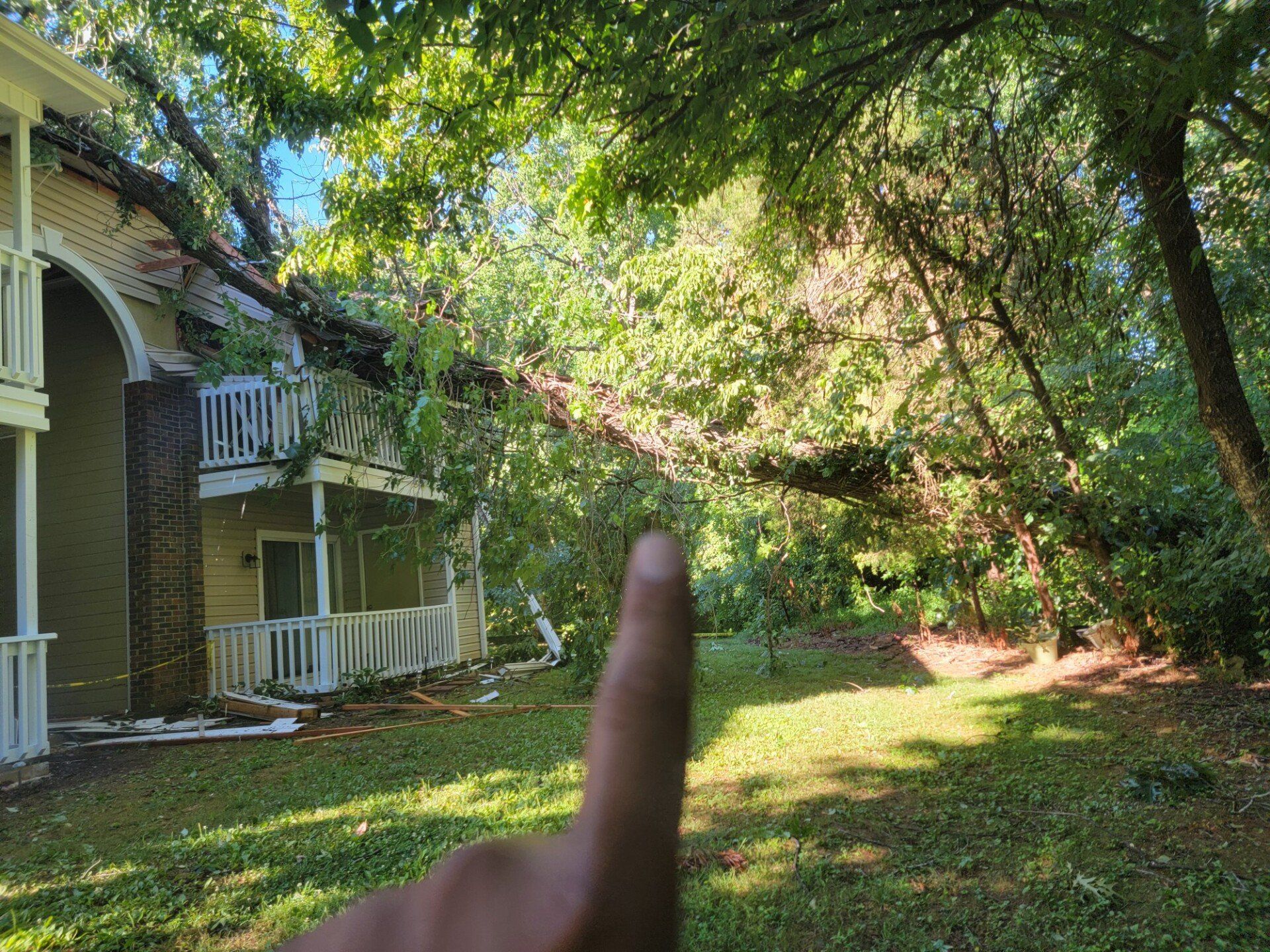 Trees Falling in the Roof — Burlington, NC — Trees Are Us