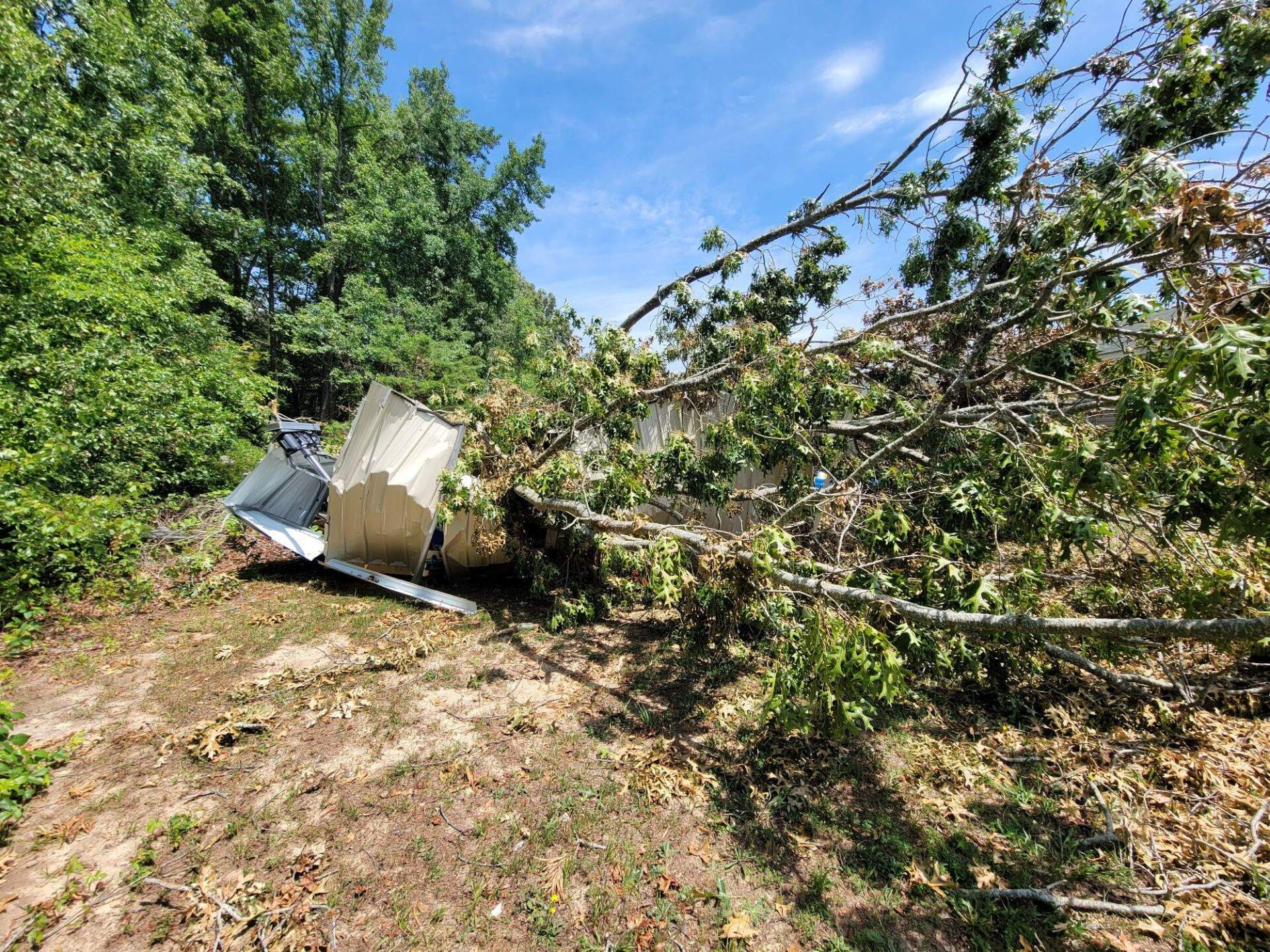 Tree Service | Burlington, NC | Trees Are Us