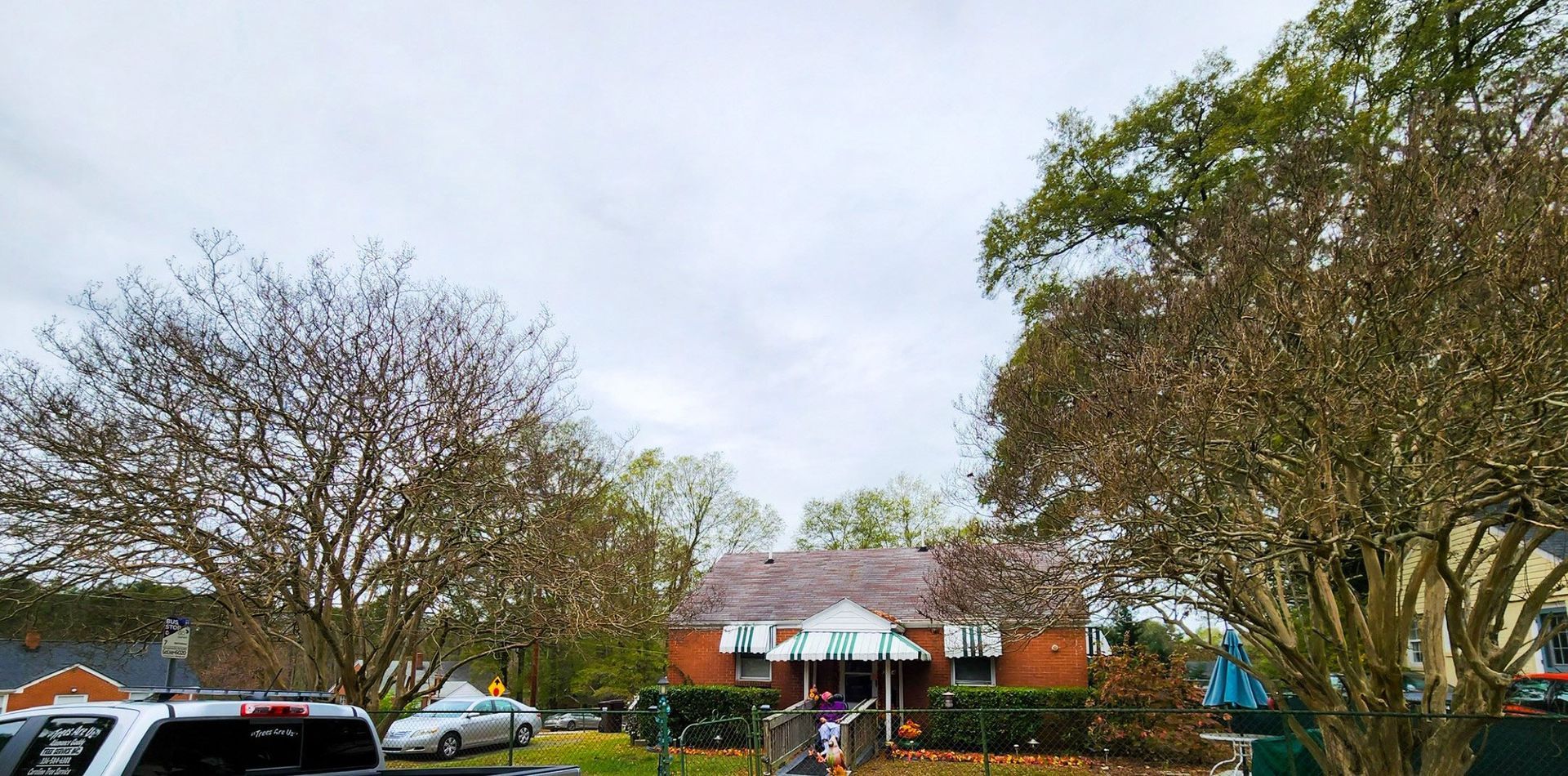 Tree From The Residential Area — Burlington, NC — Trees Are Us