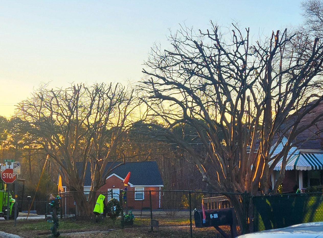 Tree Removal — Burlington, NC — Trees Are Us