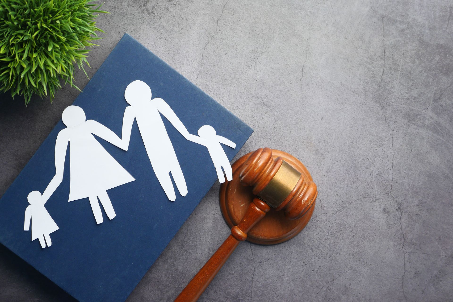 Blue book with family cutout, gavel, and plant on a gray surface, representing family law.