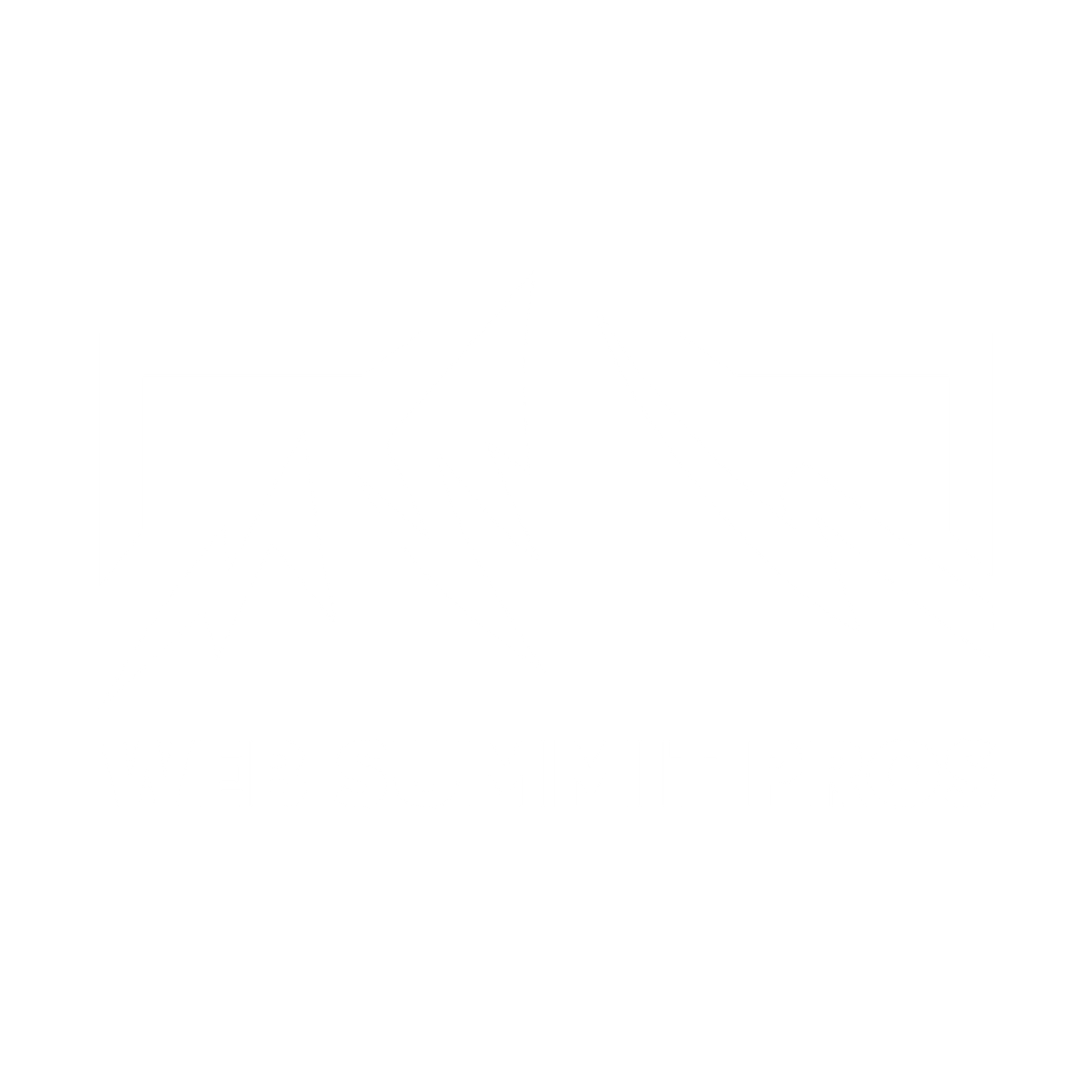 web summit pros, website design, website designer, seo services, lead generation