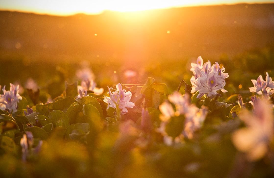 cremation services supporting Martensville, SK