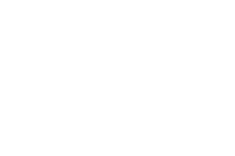 AquaExterior Pressure Washing logo