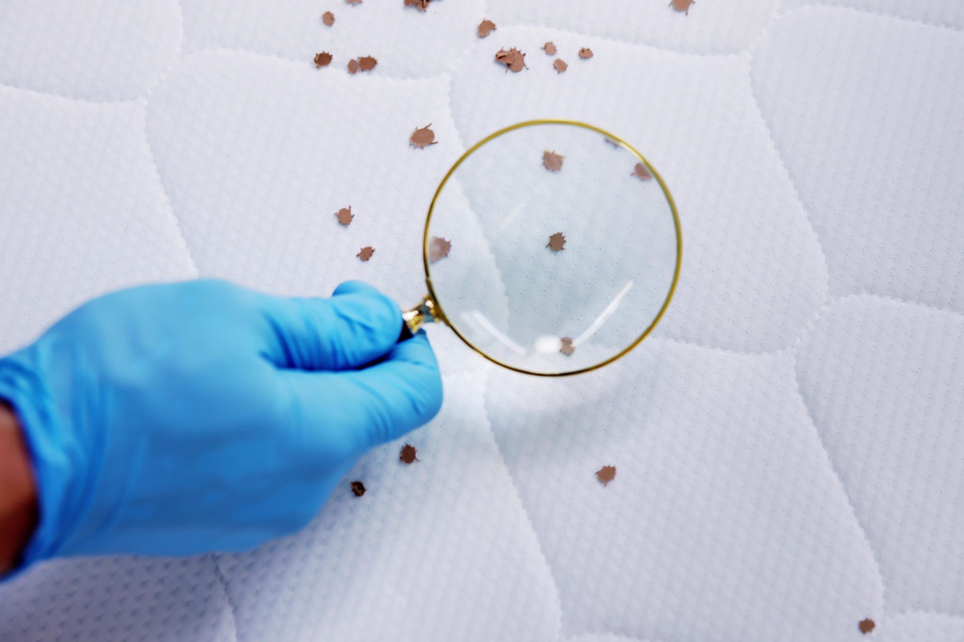 Gloved hand using magnifying glass to examine brown spots on a white mattress.