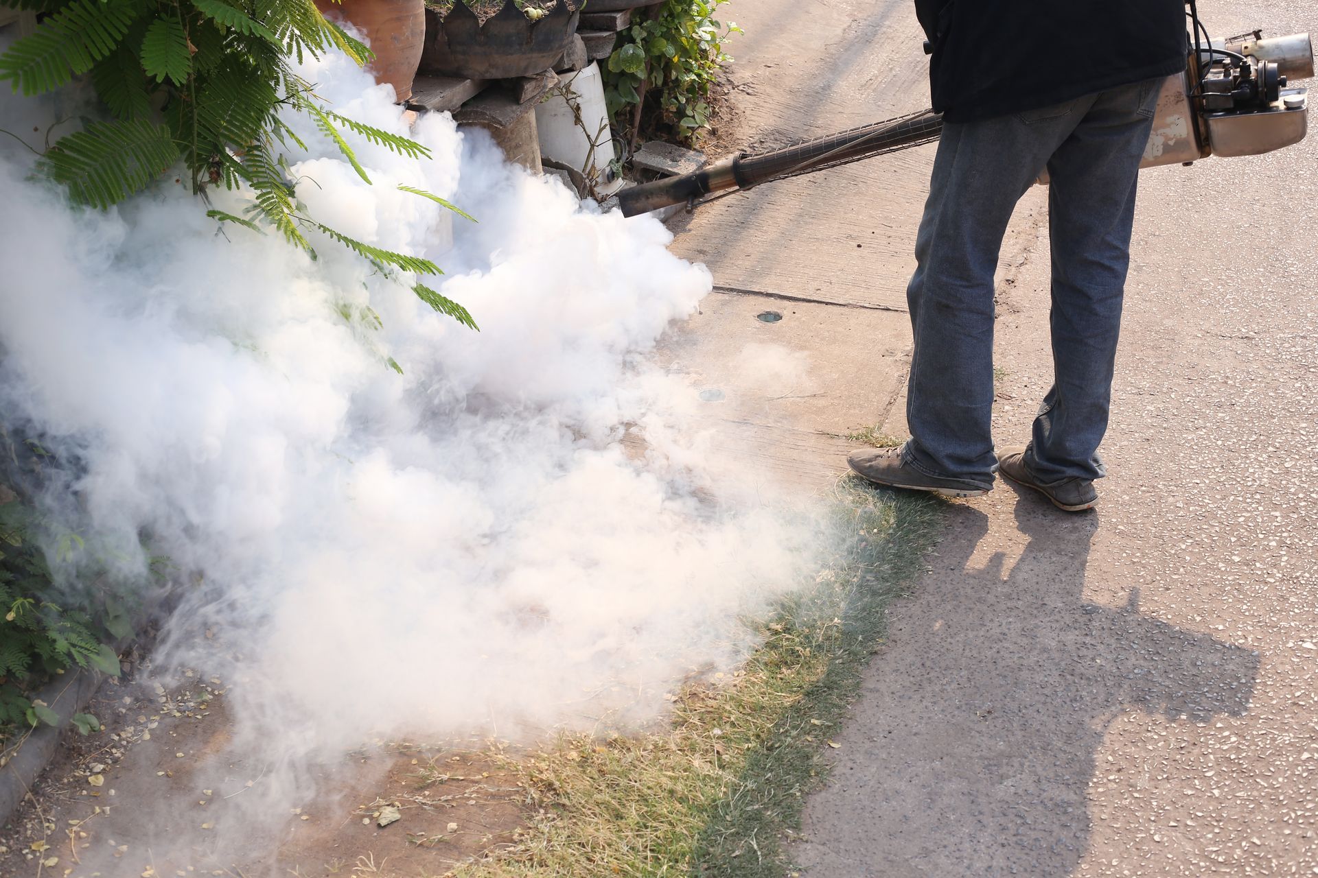 Person using a fogger to spray pesticide near greenery on a sidewalk. White smoke billows.