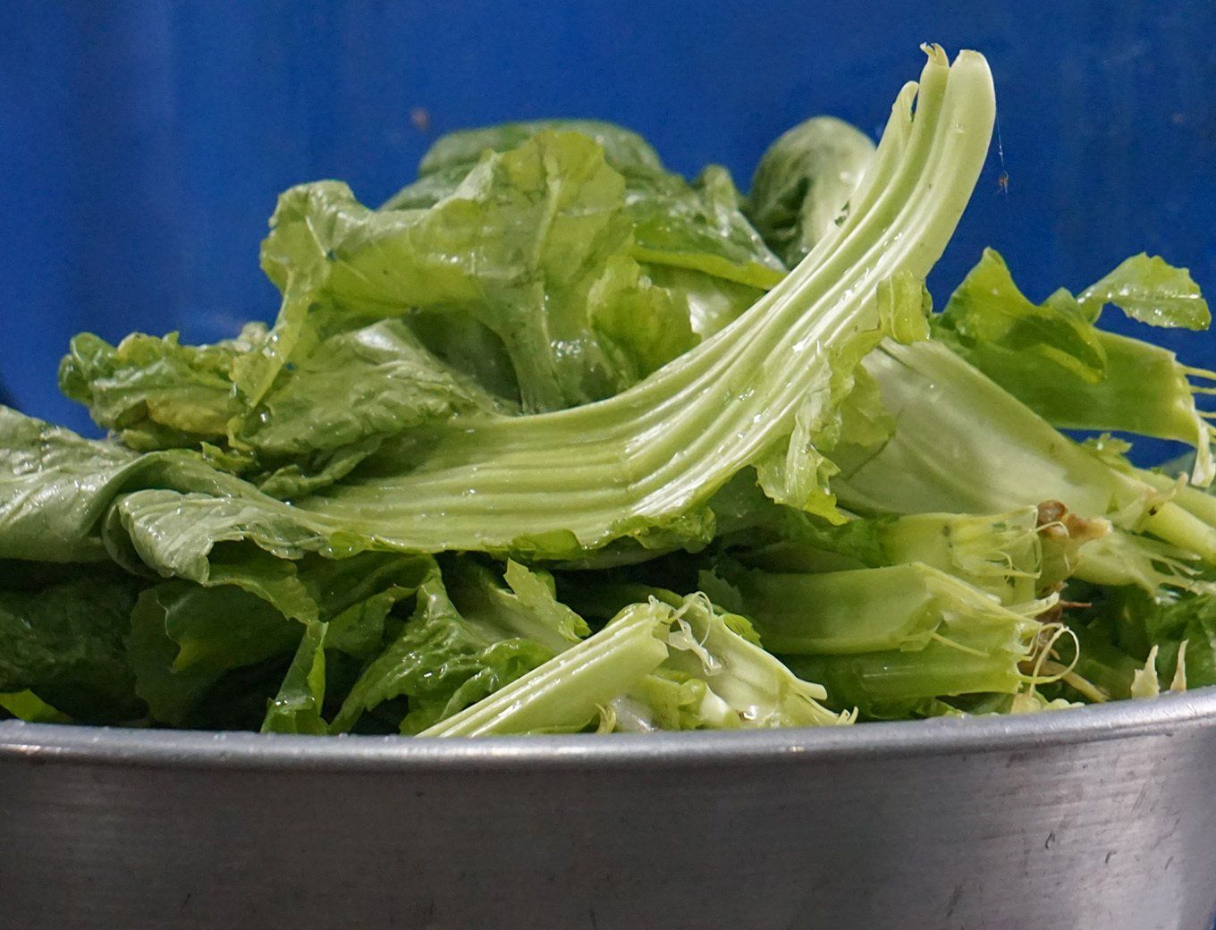 owl of fresh, vibrant greens served on a trek in Nepal, emphasizing healthy eating during the adventure.