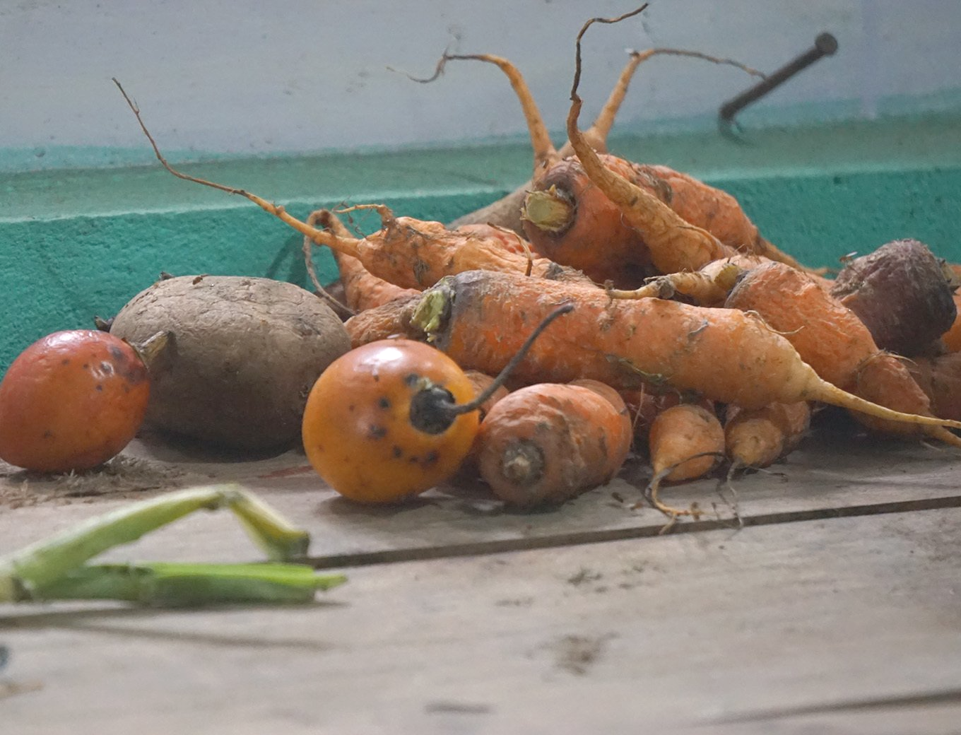 Fresh organic vegetables on the Annapurna Trek in Nepal, highlighting the region's agricultural bounty.